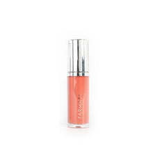 Load image into Gallery viewer, Farmasi Tinted Lip Plumper #F110